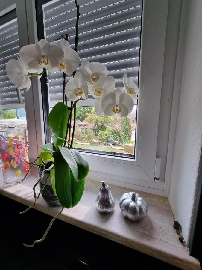 Holiday Apartment Moises Y Ruth Murg  エクステリア 写真